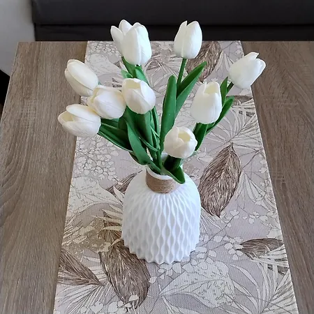 студиа за гости славяни